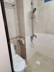 Sanctuary Green (D15), Condominium #507219711